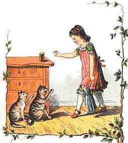 Anaa Katzen De 15 Dezember